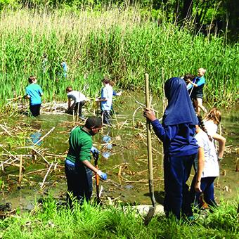 Wissahickon Charter School Students Immersed in Awbury Pond Restoration